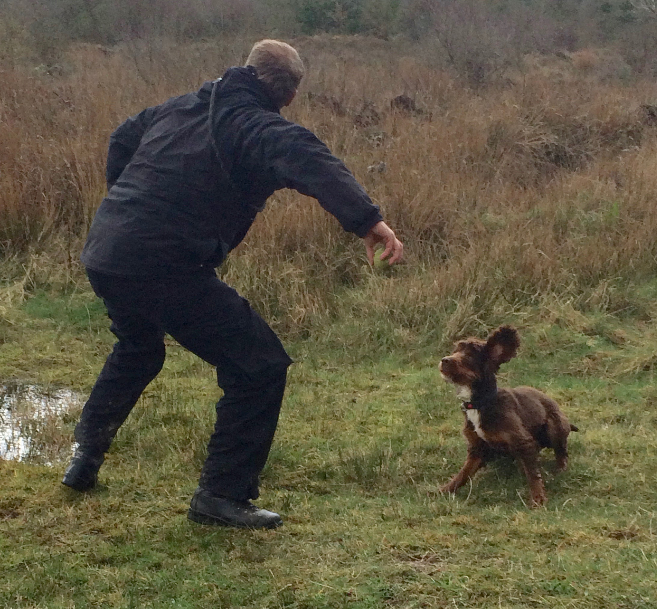 Training with North Yorkshire Police Dog Section